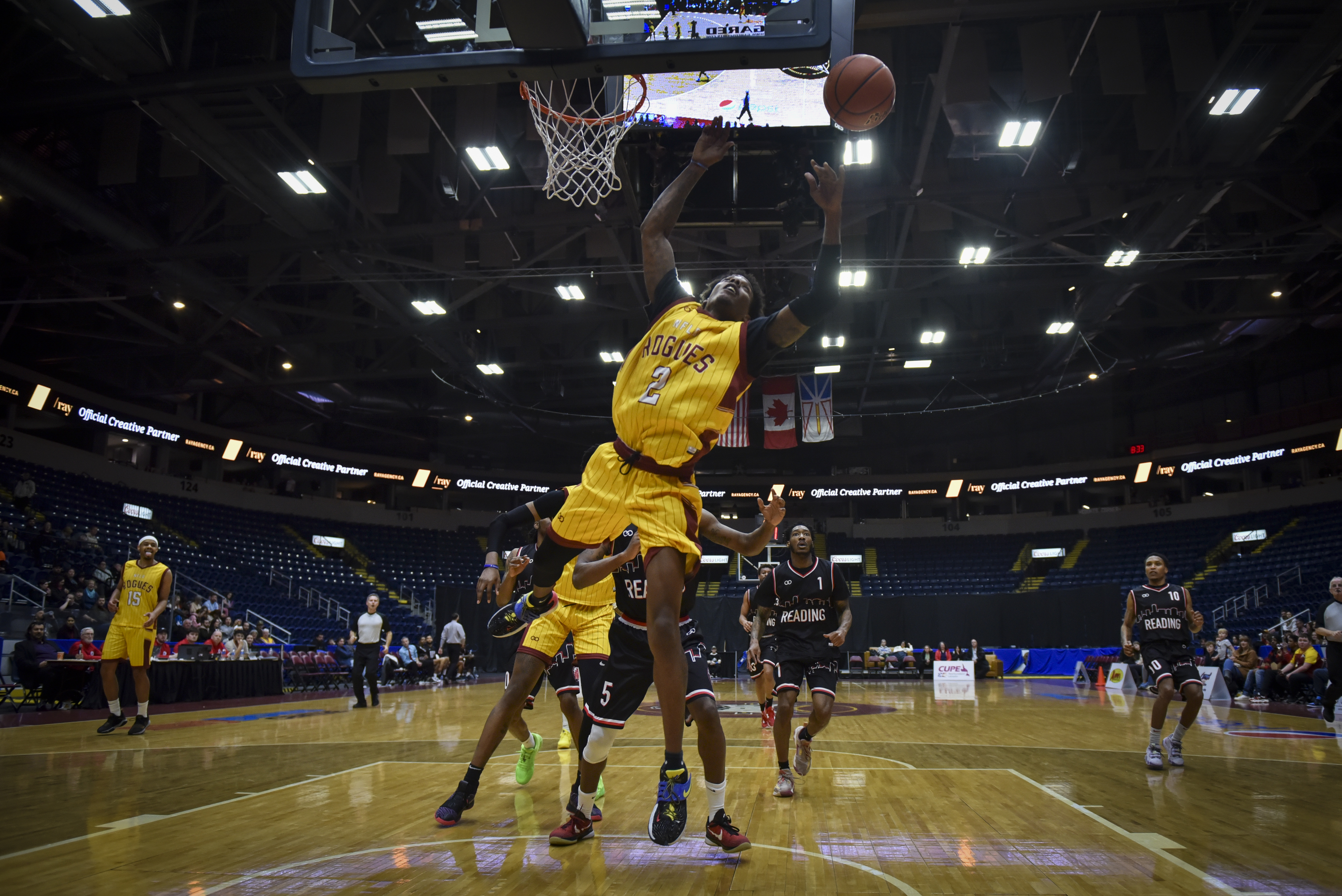 Omega Harris Newfoundland Rogues NFLD Rogues Basketball