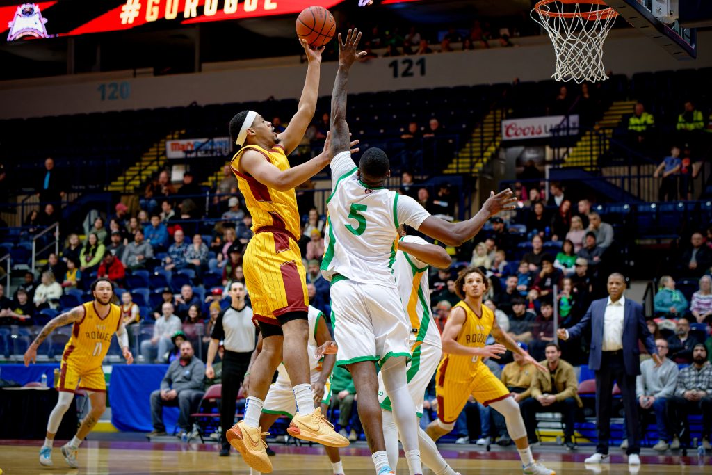 Newfoundland Rogues vs Albany Patroons