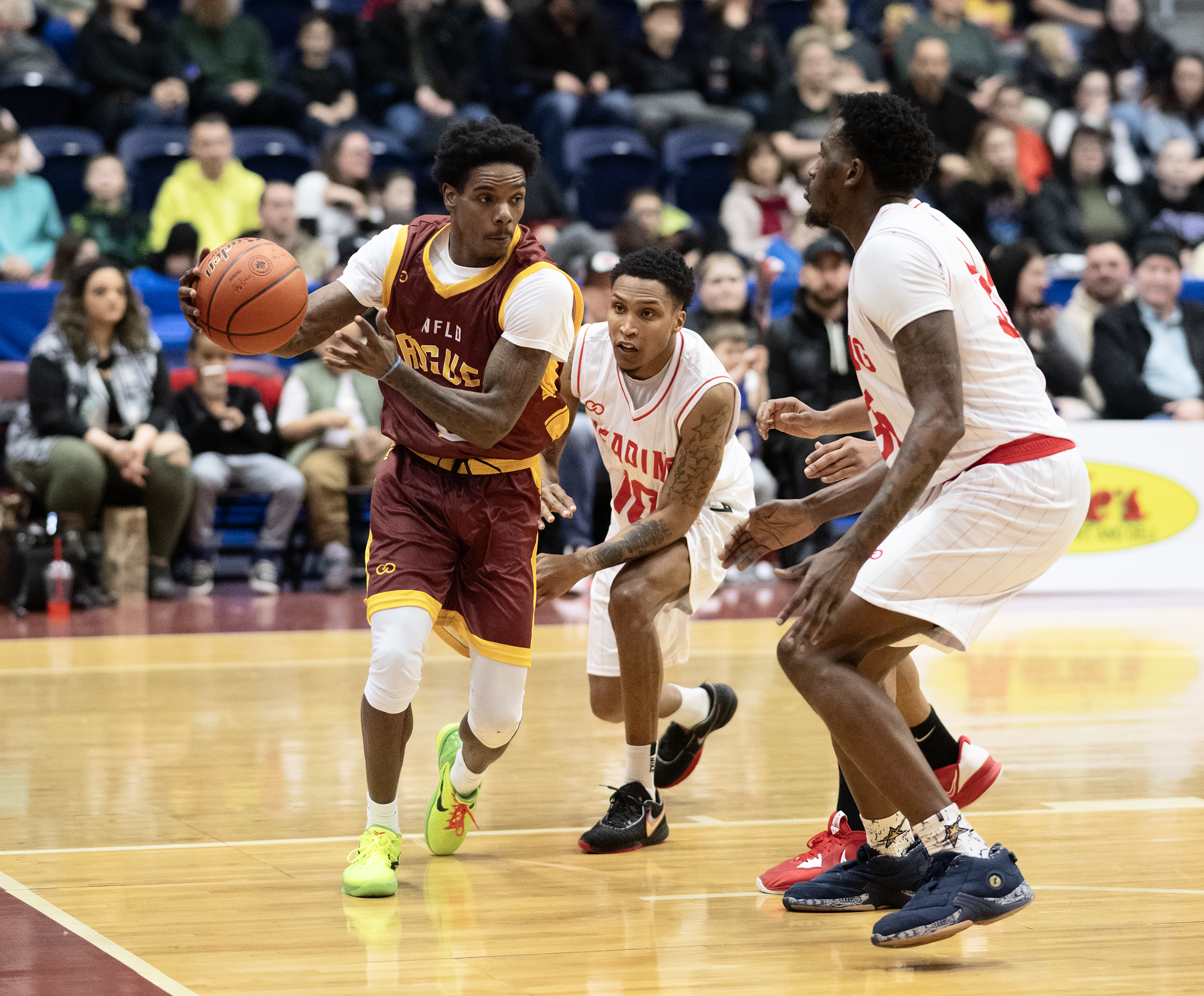 Newfoundland Rogues Omega Harris